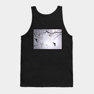 Flying Backlit Sandhill Crane (Grus canadensis) Tank Top